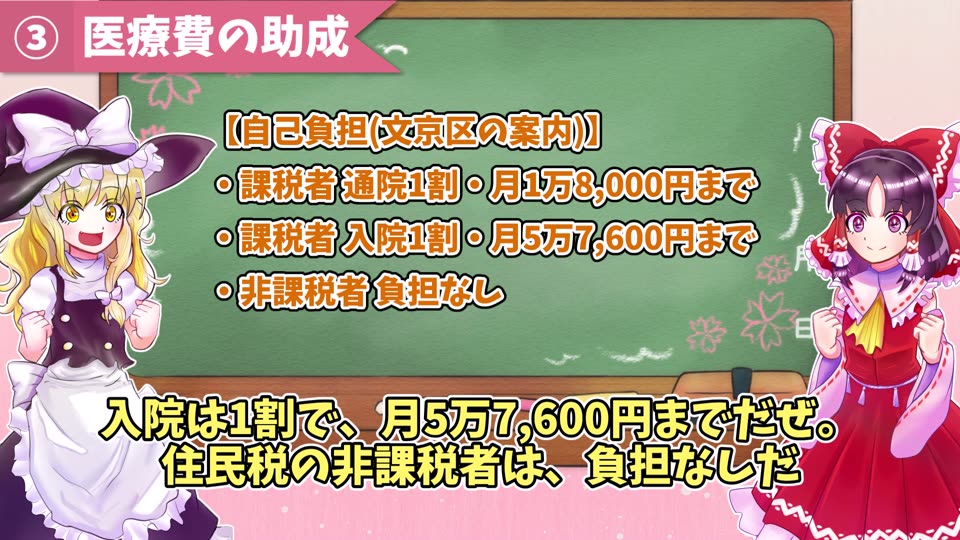 文京区の案内の自己負担を、動画で整理した場面